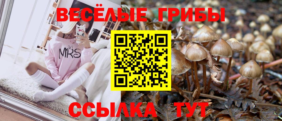Галлюциногенные грибы Psilocybe  Вход с VPN  как найти наркотики  Сарапул 